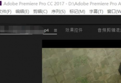 视频怎么p,一窥P生成技术的魅力与奥秘